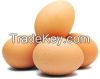 ukrainian Fresh Table Eggs Brown And White