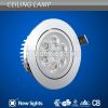 LED Down Light