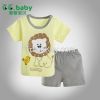 Baby Summer Set Lion S...