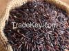 Black Rice (Kavuni Arisi)