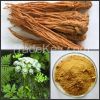 Herbal extract Angelic...