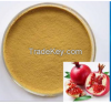 Pomegranate Extract