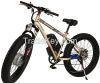 2015 Fat Tyre Double B...