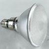 LED par light