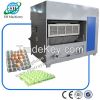 paper egg tray machine...
