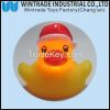 LED rubber duck toy, f...