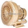 Side channel blower ri...