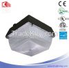 LED Canopy light 60W 5...