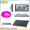 1200W  2400w Aurora Se...