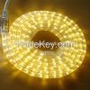 2wire LED rope light c...