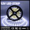 LED Strip Light SMD283...