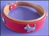 Pet Collar - Leash