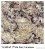 Granite Tile / Slabs /...