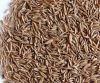 Caraway Seeds 