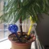 Plant watering glass b...