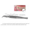 Orthodontic Buccal Tub...