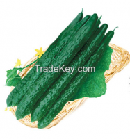 Cucumber Seed
