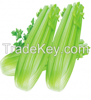 Celery Seed