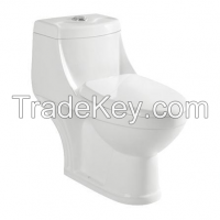 Ceramic washdown or siphonic sanitary ware toilet