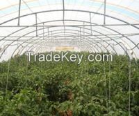 Greenhouse Plastic Film