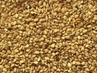 SESAME SEEDS (SESAMUM OR BENNISEED)