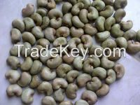 Raw Cashew nuts