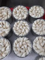 Pasteurized Frozen Crab Meat