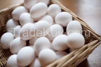  Fresh Chicken Eggs Brown and White 