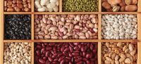 Dried Beans / Light Red Speckled Kidney Bean