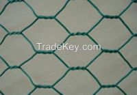 Hexagonal wire netting