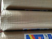 galvanized welded wire mesh 