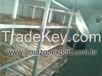 Pescada Amarela Fish Maw