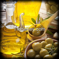 Organic Olive Oil 2018 Fresh Harvest