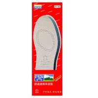 shoe insole