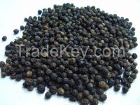 Black Pepper, 40% Discount