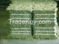 Quality Alfalfa hay