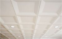 GRP Ceiling Panel
