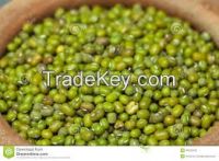 Quality Green Mung Beans