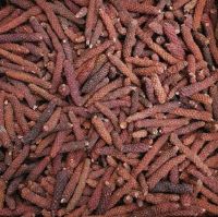 LONG PEPPER