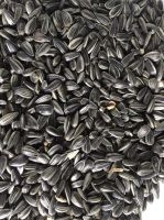 Sunflower seeds