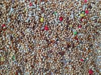 Bird Feed Mixes