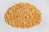 YELLOW SPLIT PEAS 