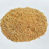 Yellow  Millet 