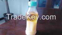 Used Cooking Oil