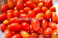 fresh green/red tomato wholesale price