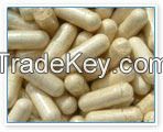 Pharmaceutical Capsules