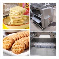 Soft or Hard Biscuit Production Line