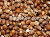 Good Price Whole Perilla Seed