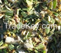 corn silage