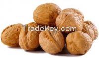 Almond nuts , Cashew nuts , Macadamia nuts , Pistachio nuts